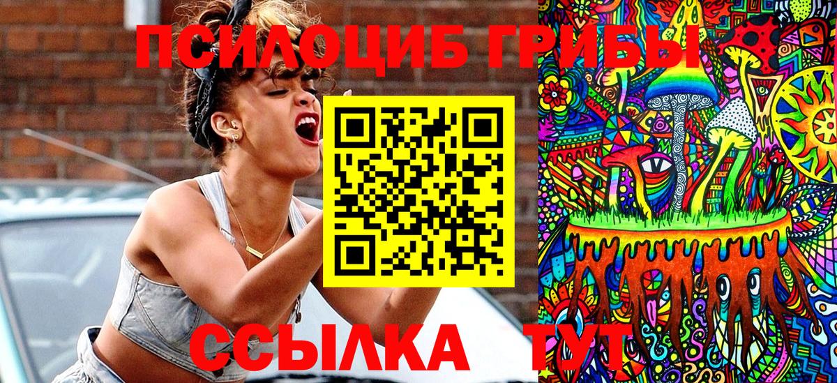 Галлюциногенные грибы Psilocybine cubensis Алексеевка