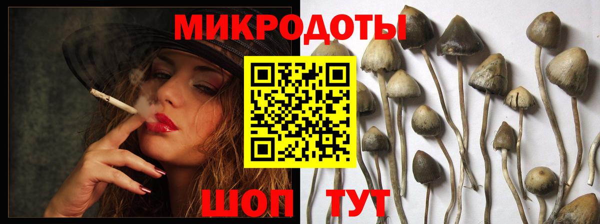 Галлюциногенные грибы MAGIC MUSHROOMS  Вход с VPN  продажа наркотиков  Алексеевка  Галлюциногенные грибы Magic Shrooms 